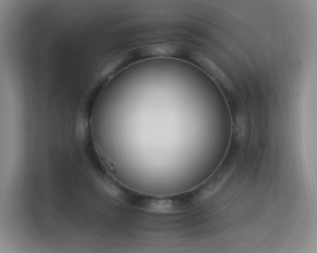 X0000113150355200909110958