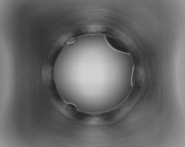 X0000113150356200909110958