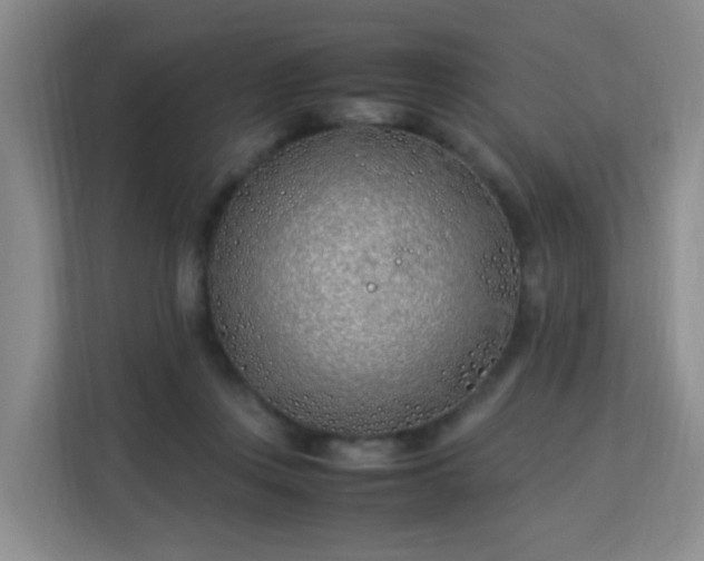 X0000113150359200909110959