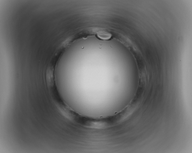 X0000113150360200909110959