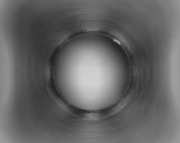 X0000113150362200909110959