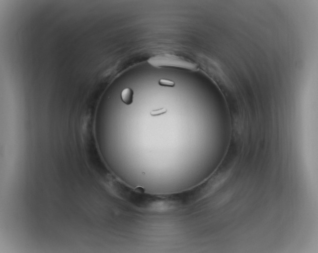 X0000113150364200909110959