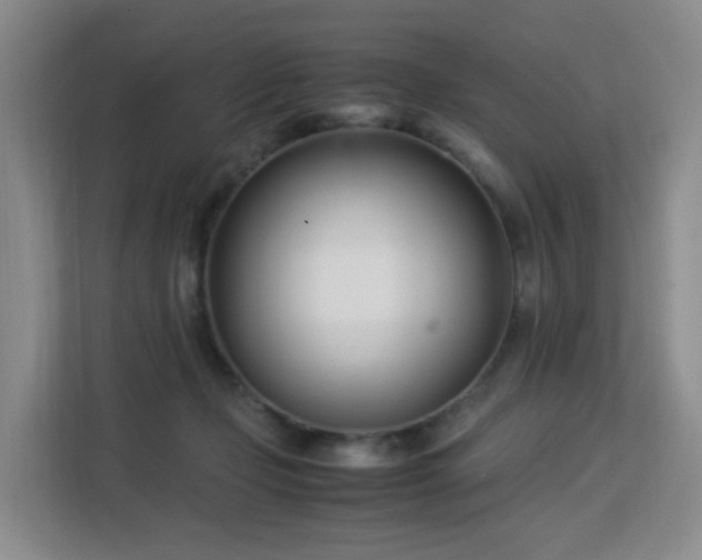 X0000113150365200909110959