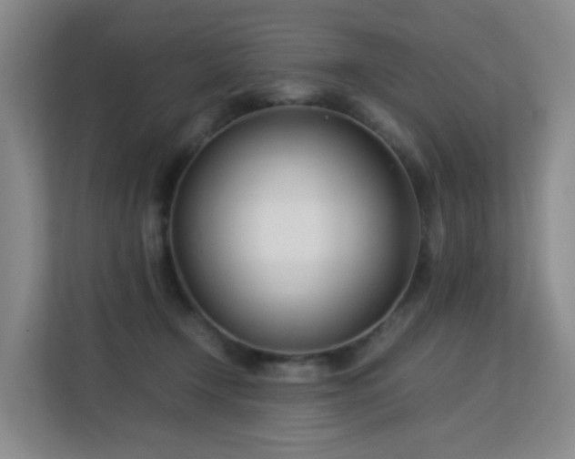 X0000113150366200909110959