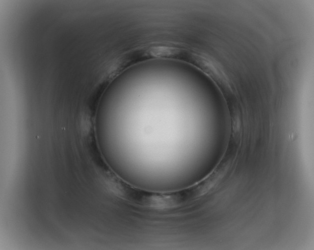 X0000113150367200909110959