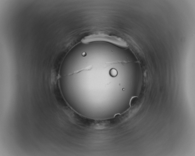 X0000113150368200909110959