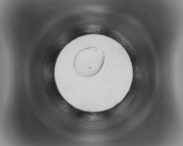 X0000113150370200909110959