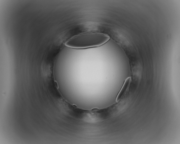 X0000113150372200909110959