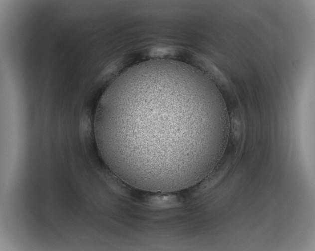 X0000113150375200909110959