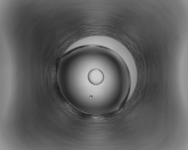 X0000113150376200909110959