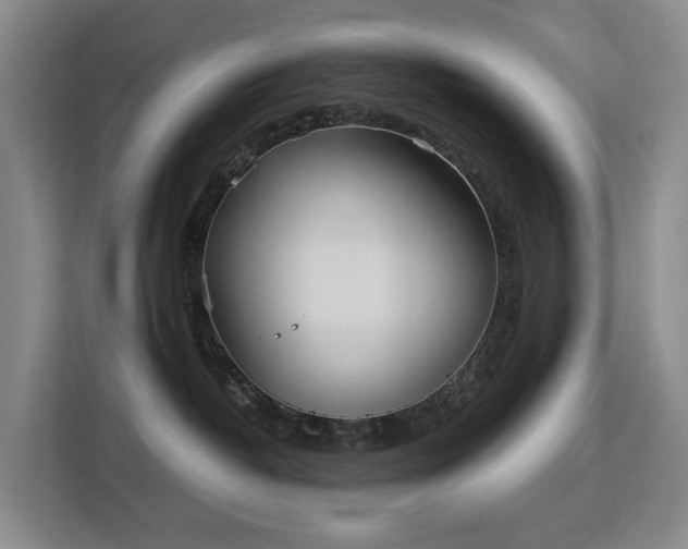 X0000113150382200909110959