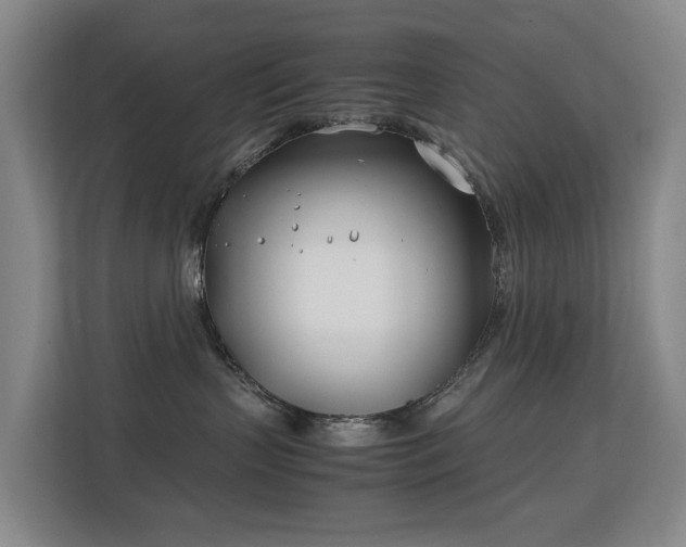 X0000113150383200909110959