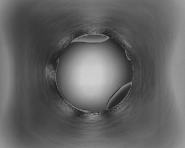 X0000113150384200909110959