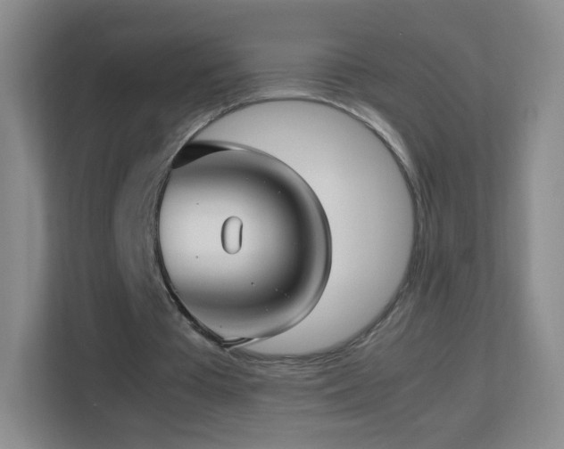 X0000113150385200909110958