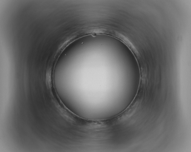 X0000113150386200909110958