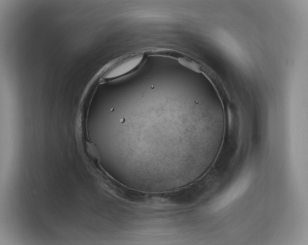 X0000113150387200909110958