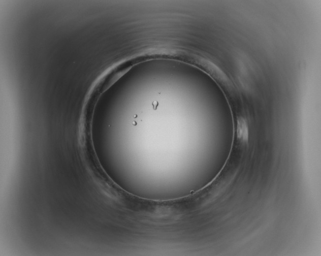 X0000113150388200909110958