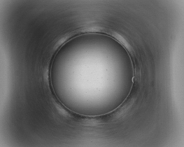 X0000113150389200909110958