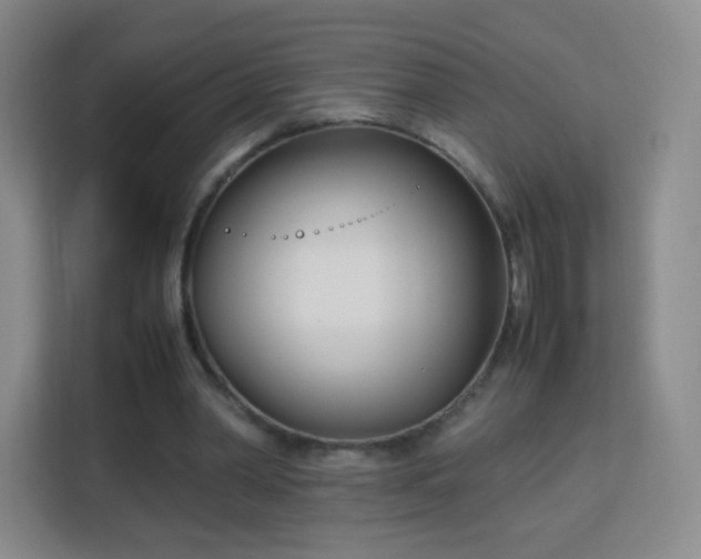 X0000113150390200909110958