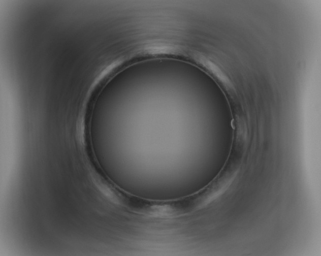 X0000113150391200909110958