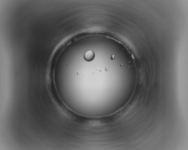 X0000113150392200909110958