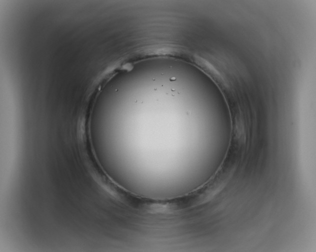 X0000113150394200909110958