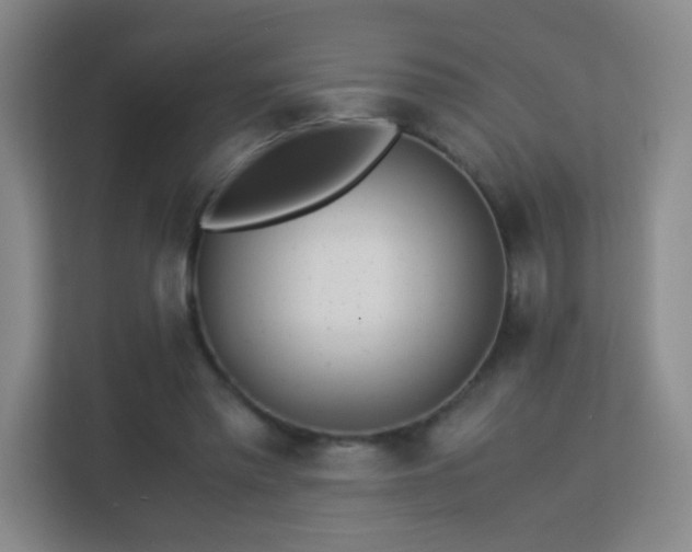 X0000113150397200909110958