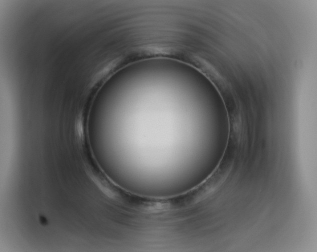 X0000113150398200909110958