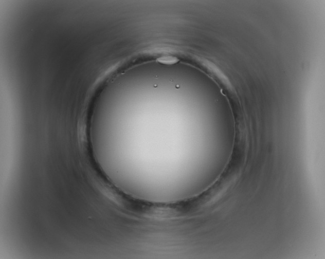 X0000113150399200909110958