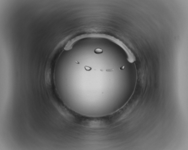 X0000113150400200909110958