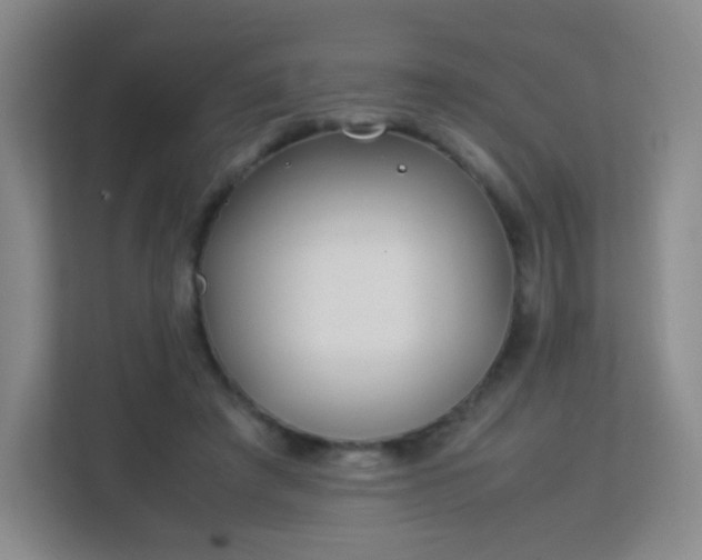 X0000113150401200909110958