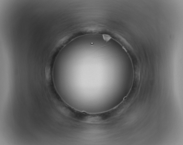 X0000113150403200909110958