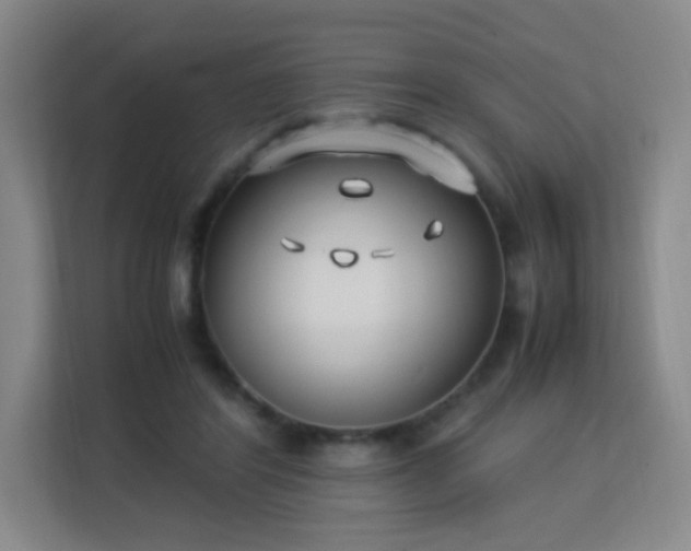 X0000113150404200909110958