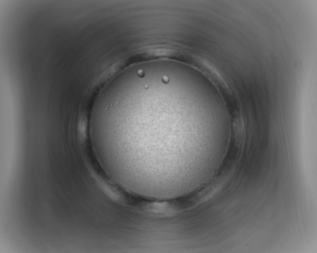 X0000113150406200909110958