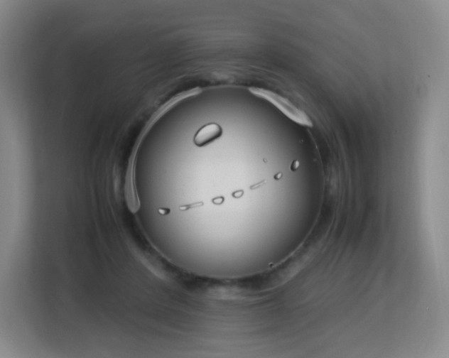 X0000113150408200909110958