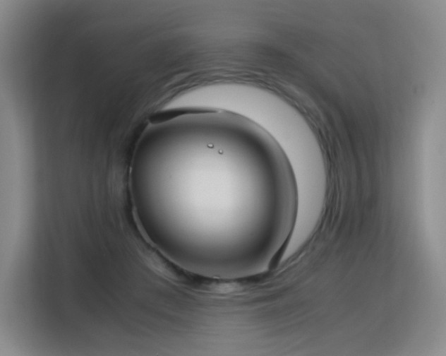 X0000113150409200909110958