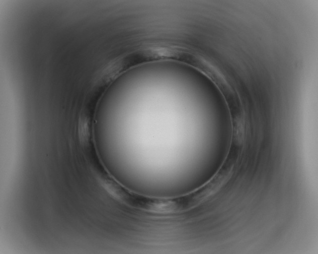 X0000113150410200909110958