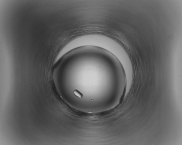 X0000113150411200909110958