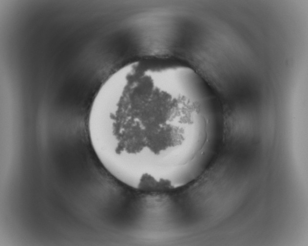 X0000113150415200909110958