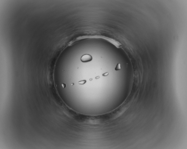 X0000113150416200909110958