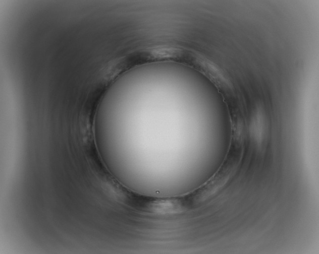 X0000113150418200909110958