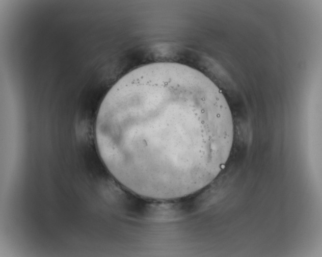 X0000113150419200909110958