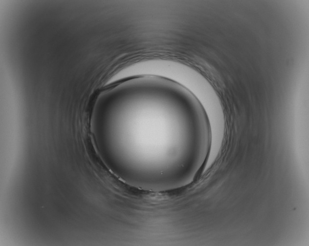 X0000113150421200909110958