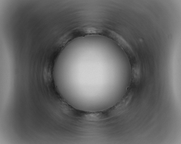 X0000113150422200909110958