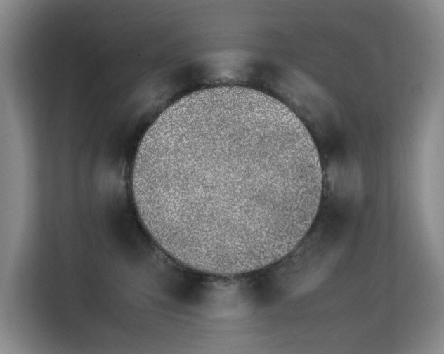 X0000113150423200909110958