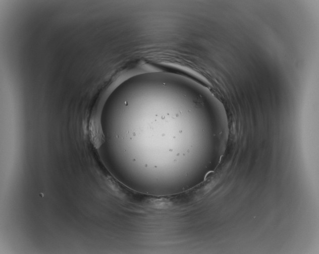 X0000113150424200909110958