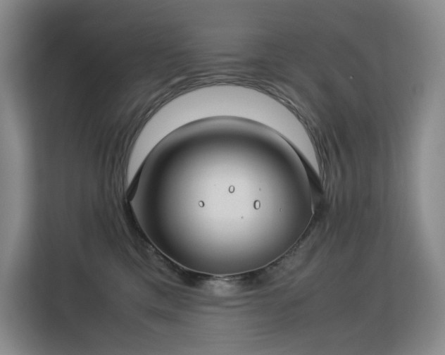 X0000113150425200909110958