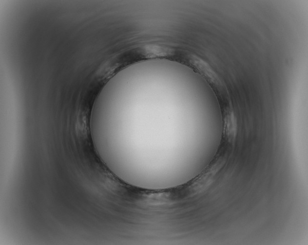 X0000113150426200909110958