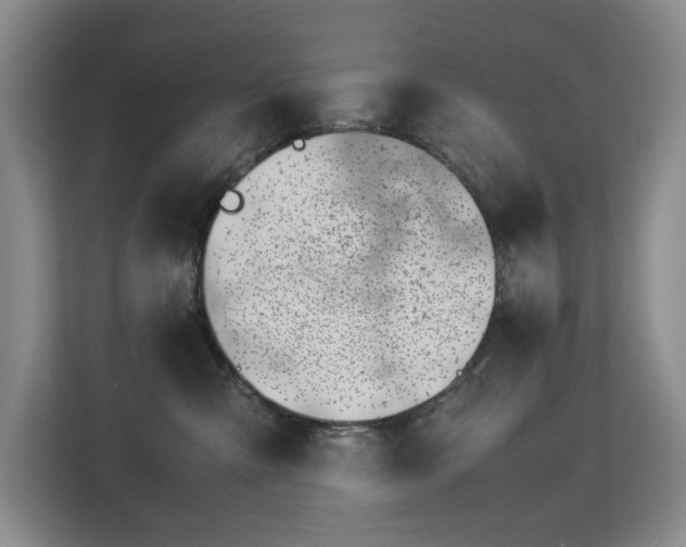 X0000113150427200909110958