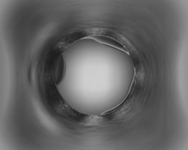 X0000113150429200909110958